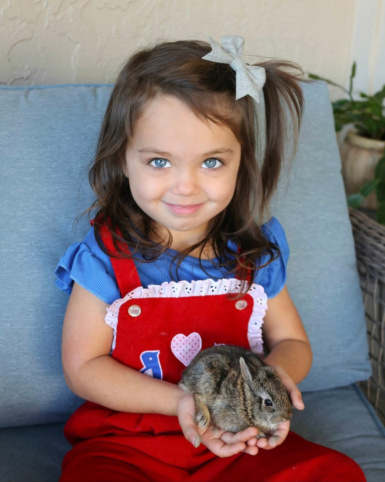 Toddler holding a baby bunny